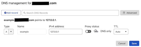 Placeholder DNS entry in Cloudflare